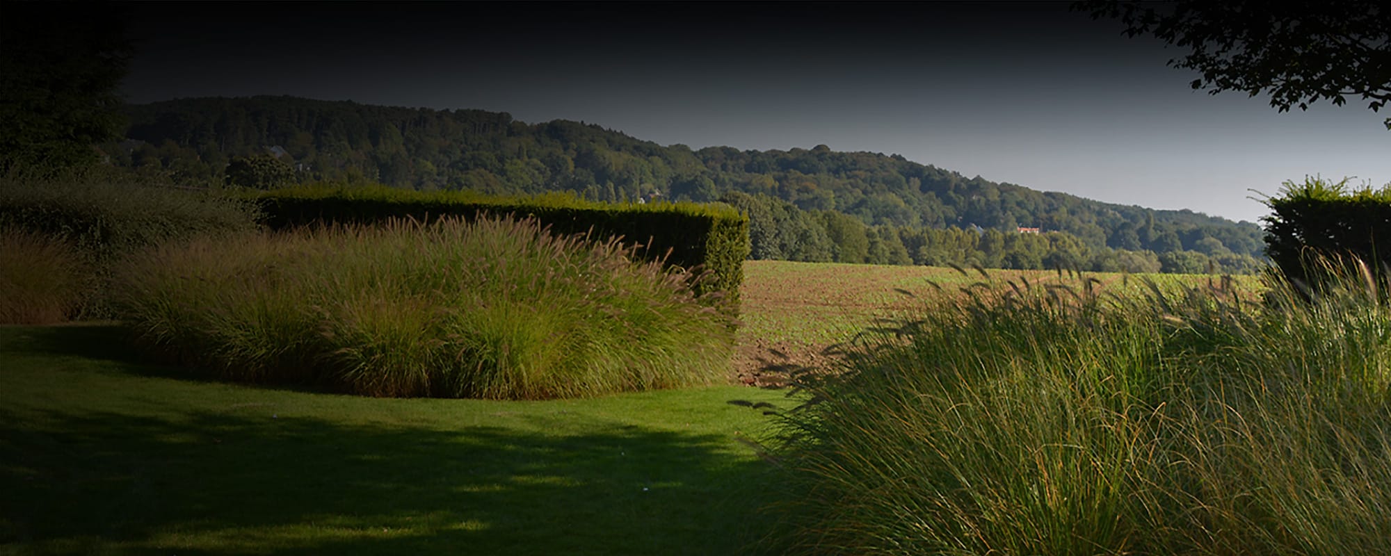 Jardin en bordure de champ