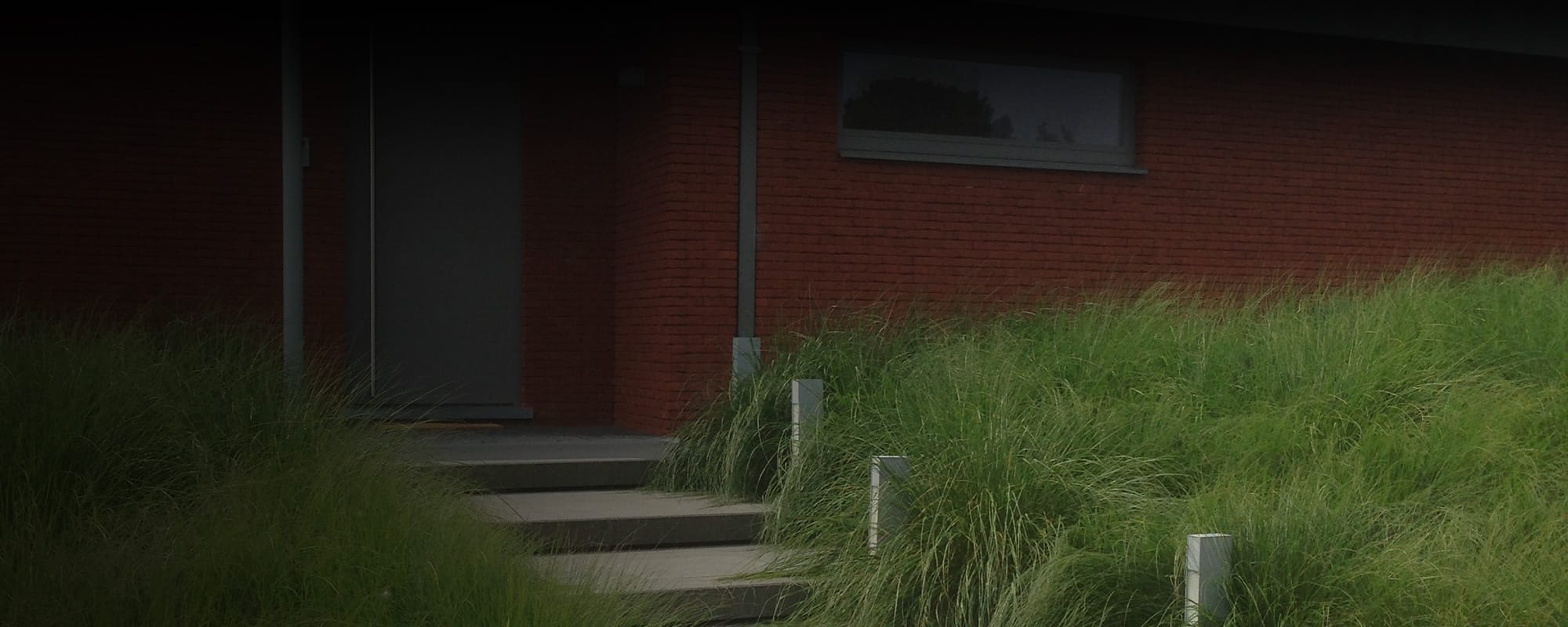 Jardin épuré pour maison contemporaine