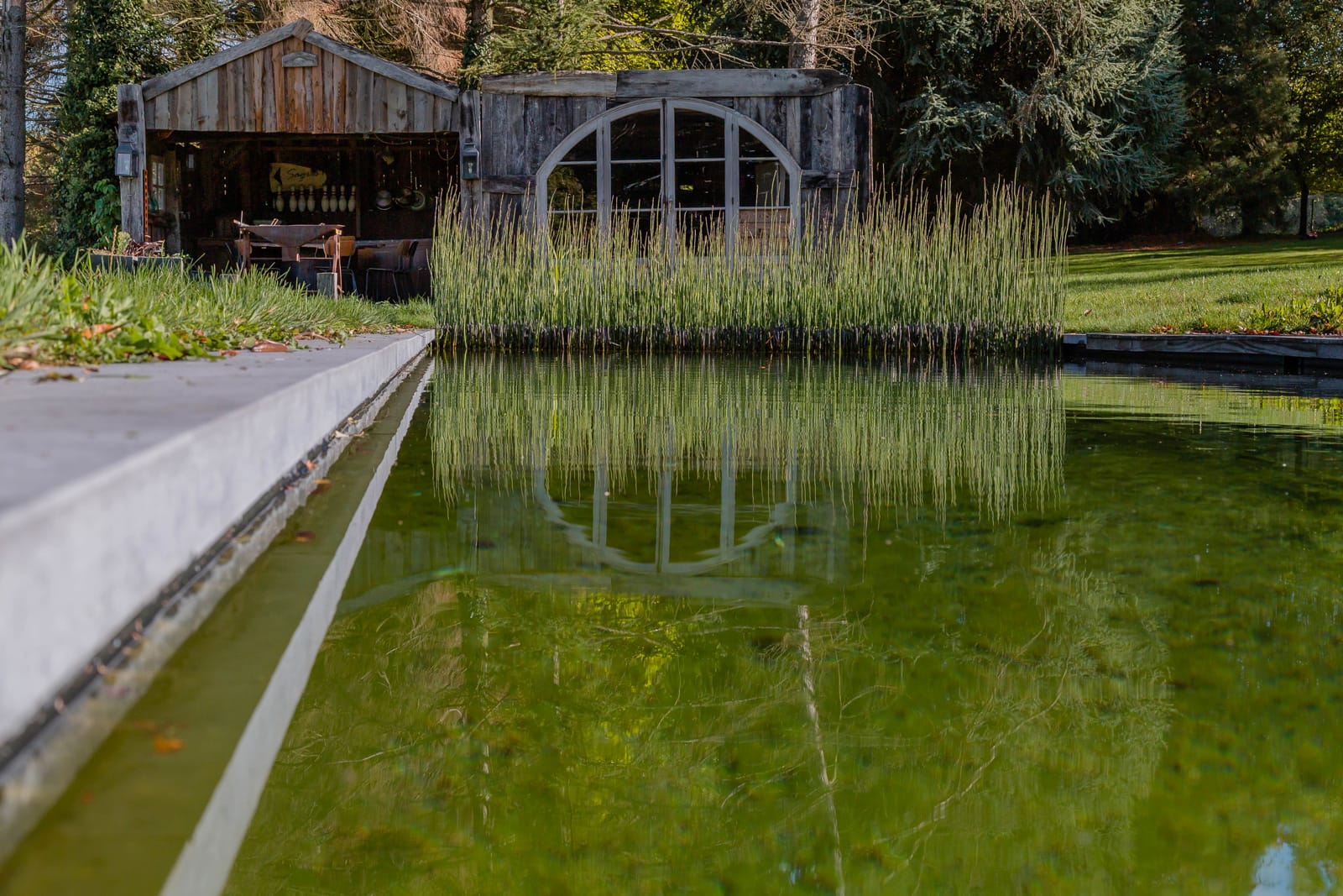 Piscine naturelle architecte paysagiste